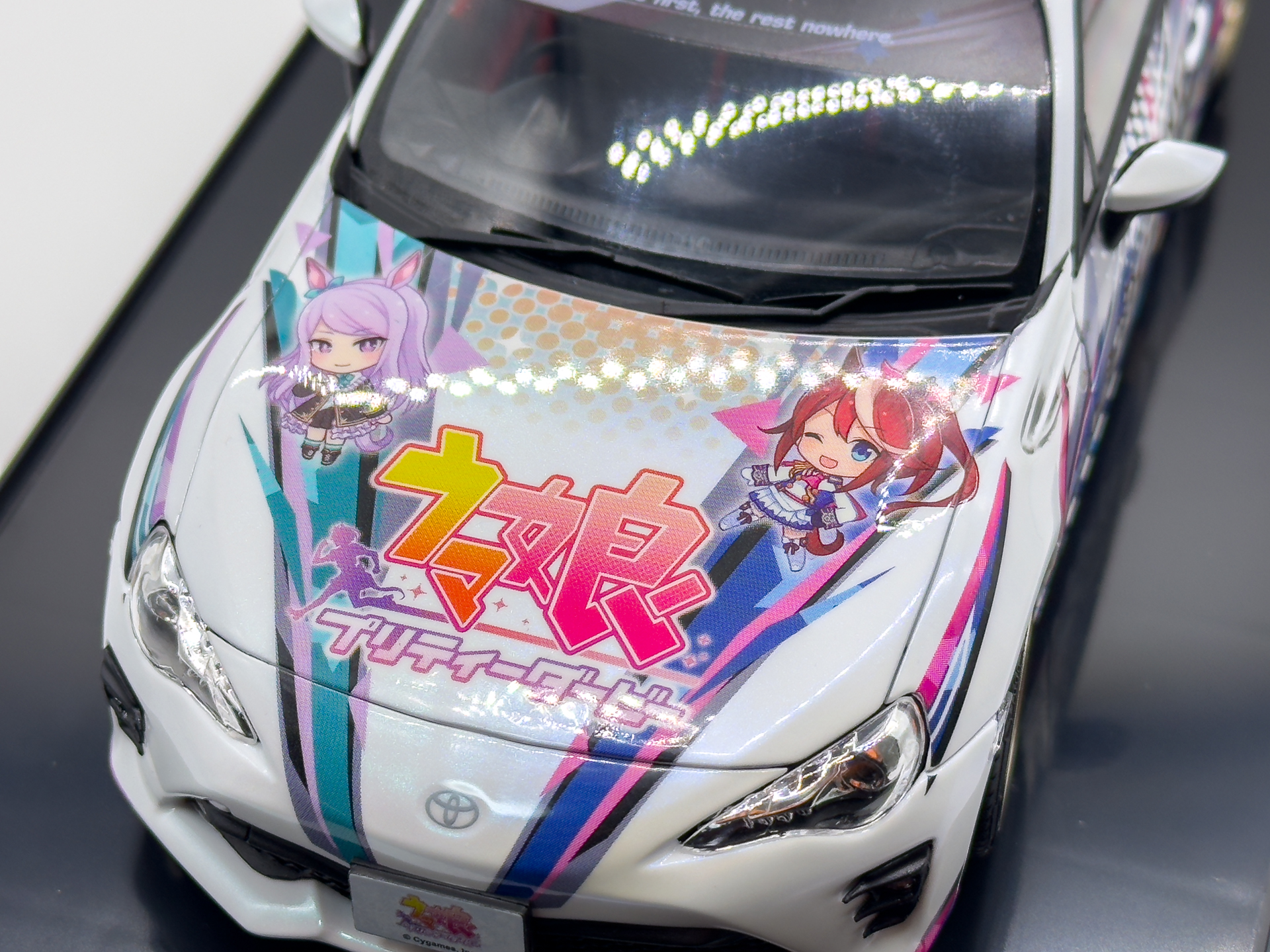 大判デカールを使用したキットとなっています。