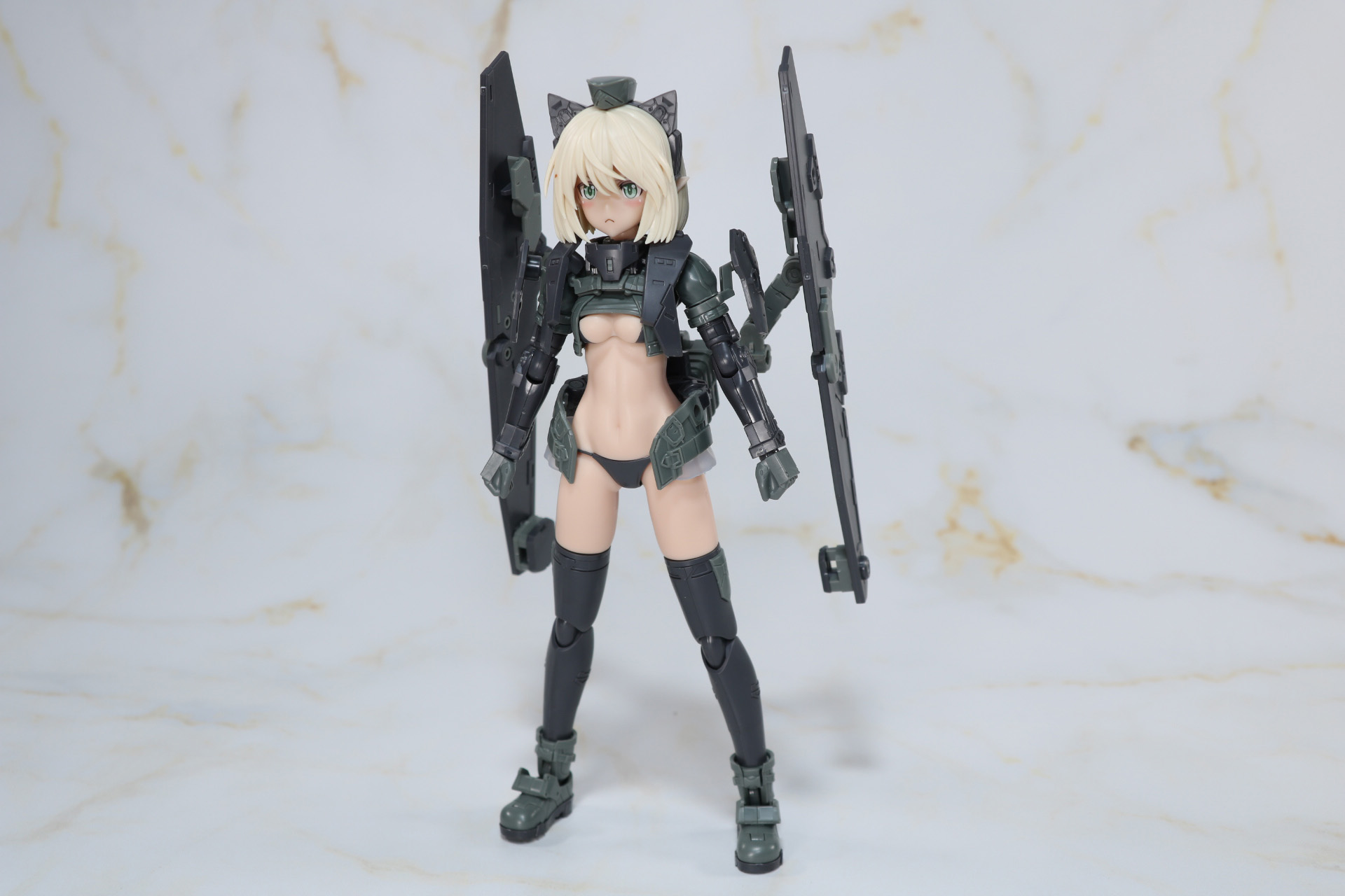 武装化した「アルティニア」