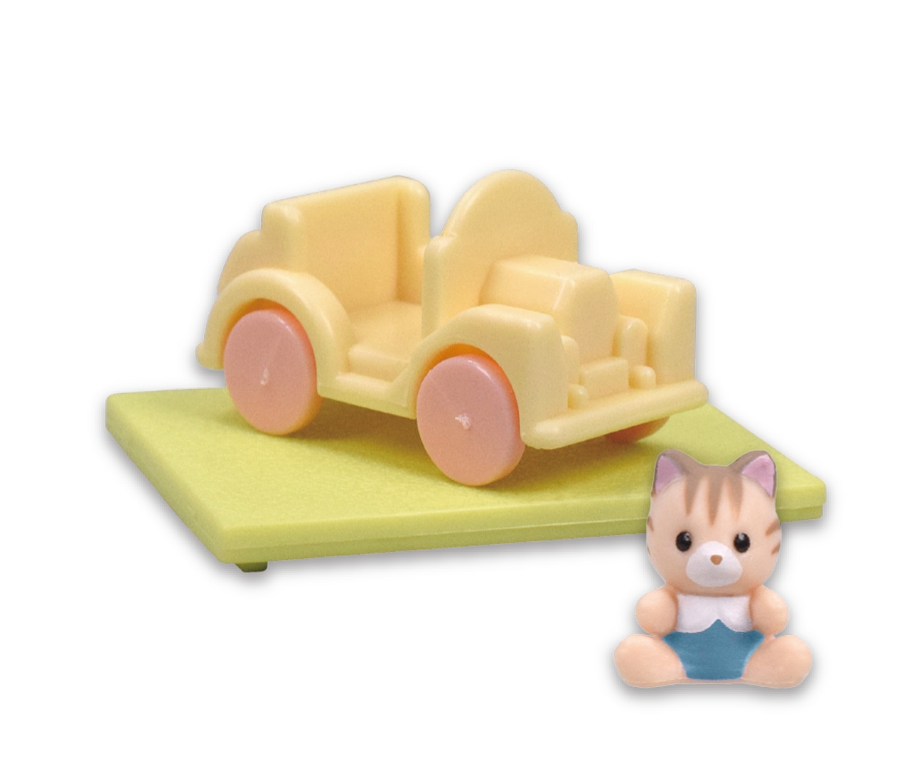 お庭 シマネコの赤ちゃん（スコット）＆くるま