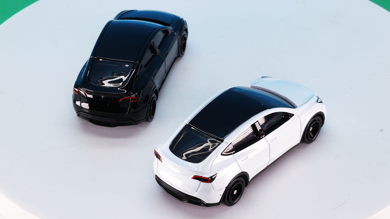 ルーフはブラックアウトされています