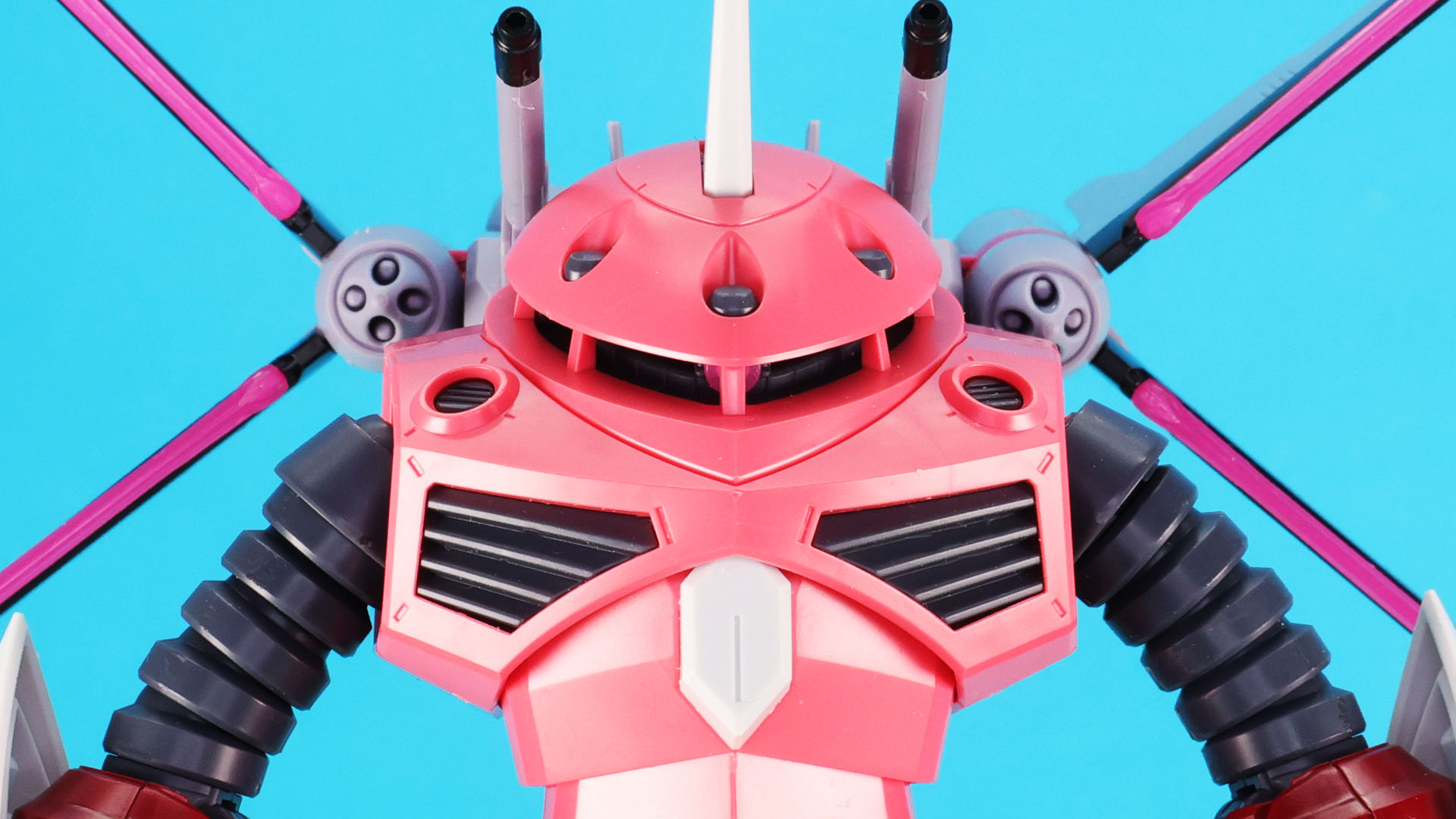 ズゴックの上半身にはインフィニットジャスティスガンダム弐式の上半身が内蔵されています