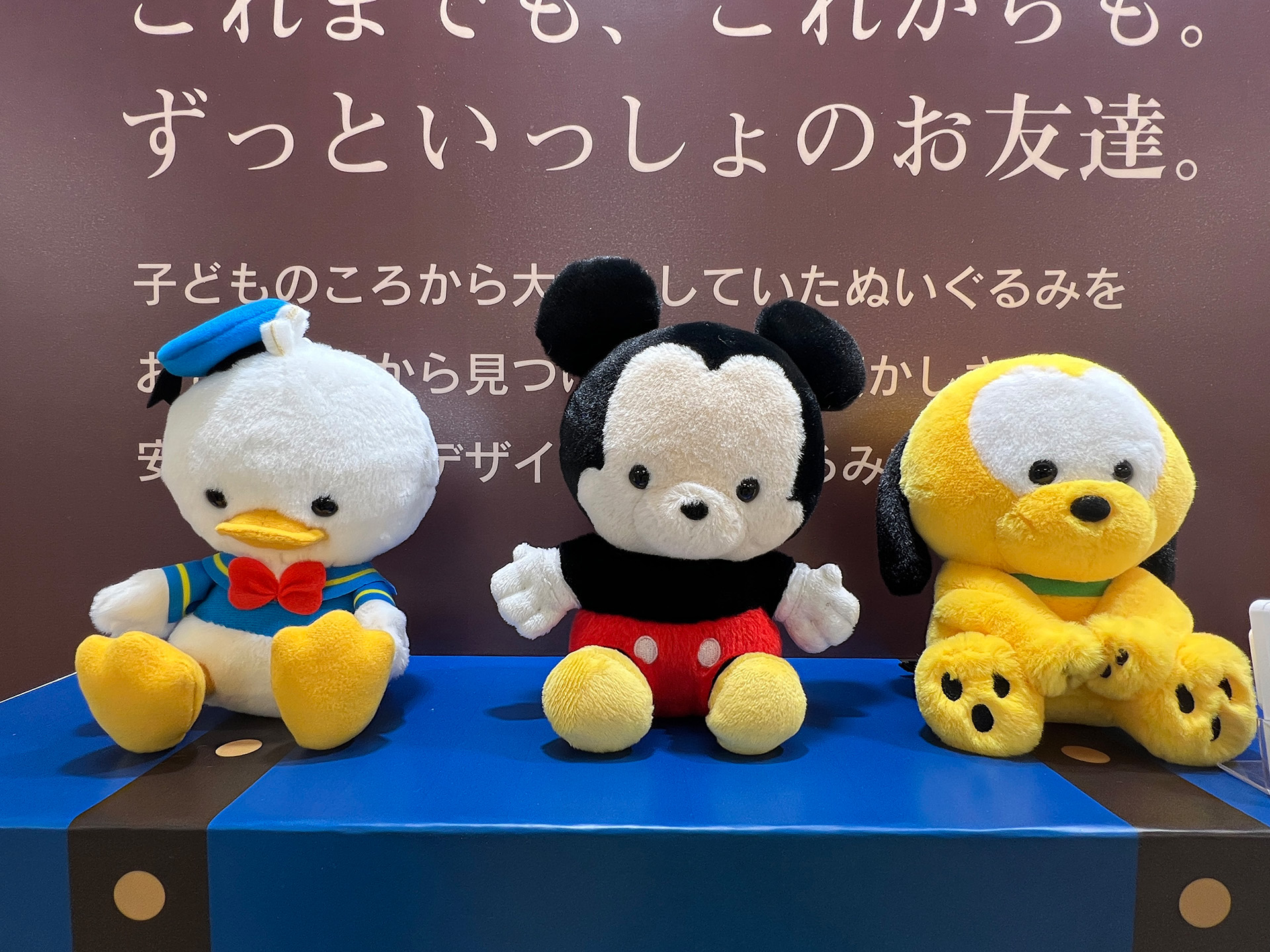 ※監修中