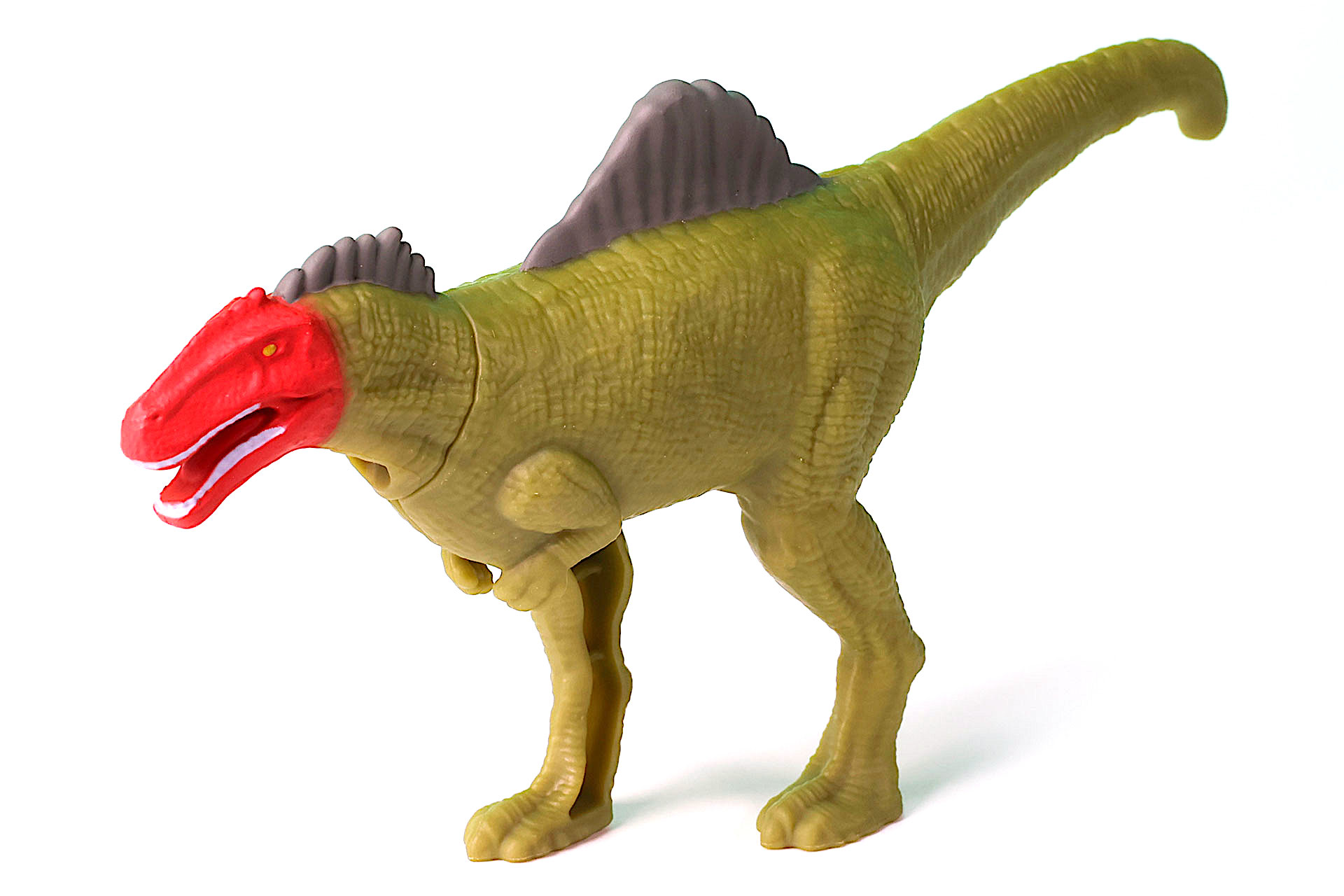 肉食恐竜としてはほっそりとしている印象だ