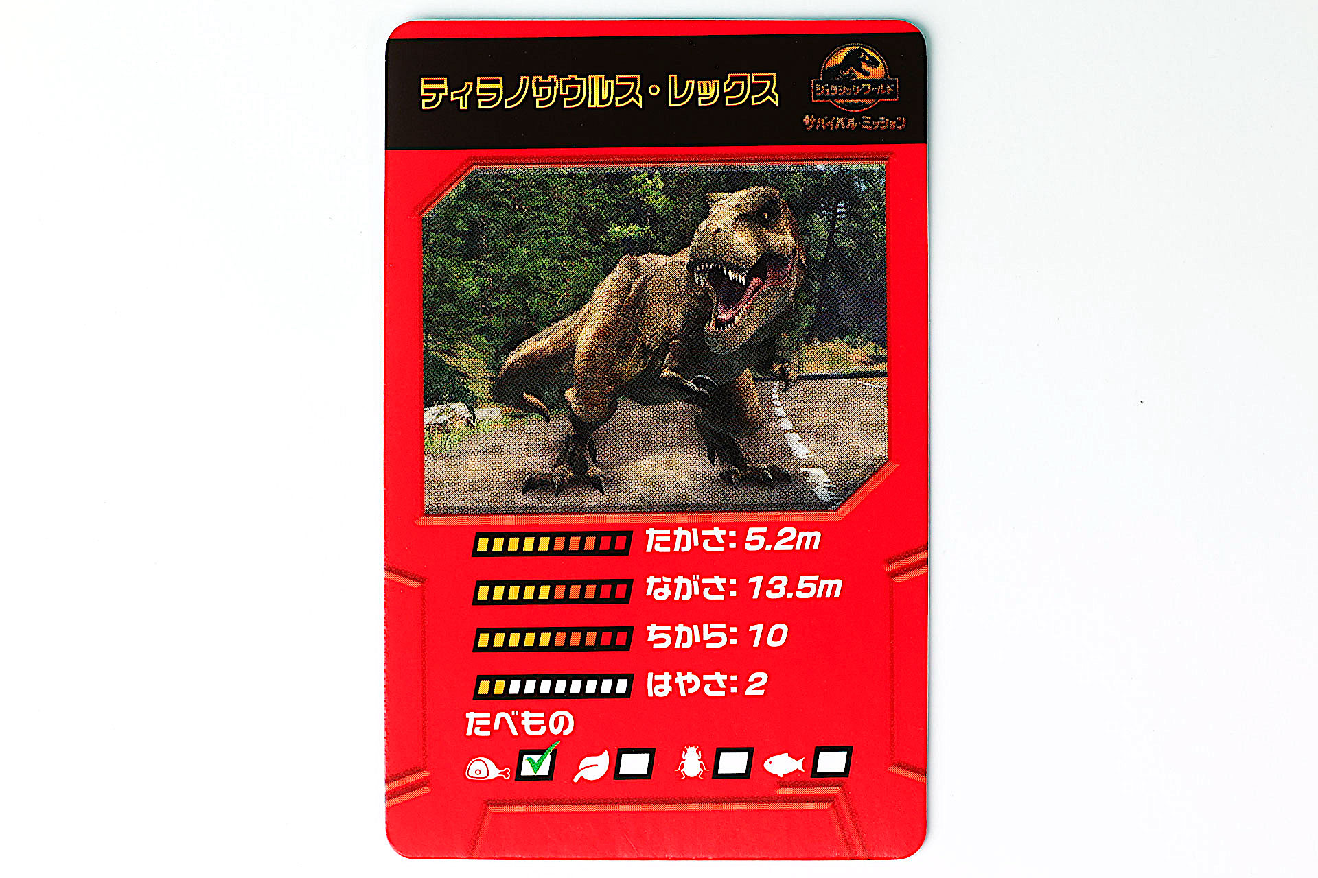 こちらが付属の解説カードの表面