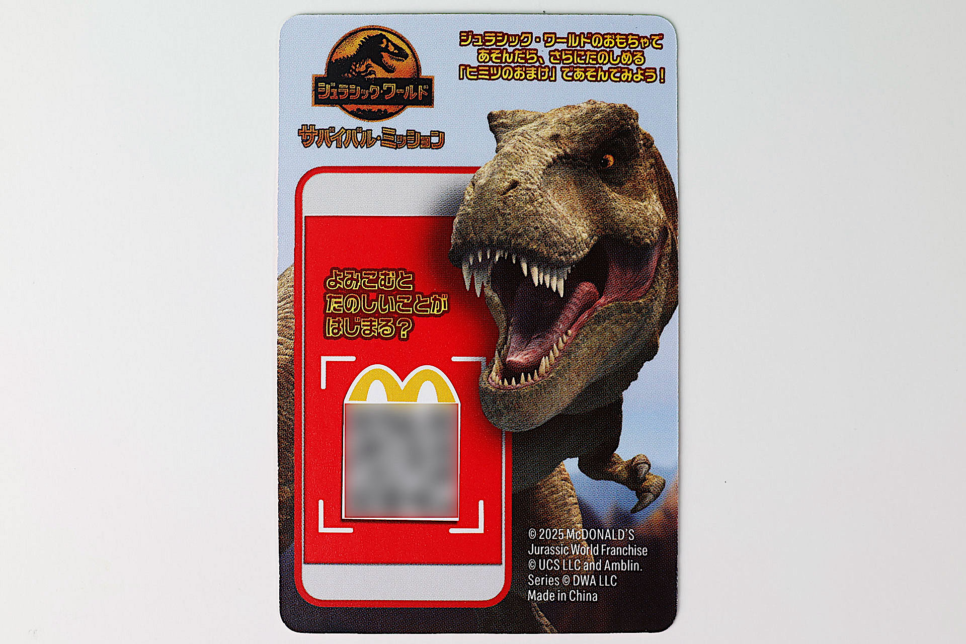 付属カードの裏面は共通のデザインだ