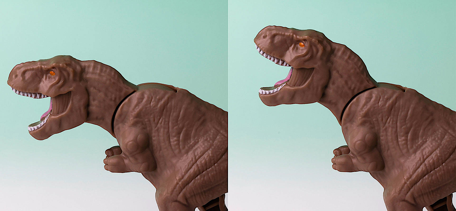 頭部は上下に動かすことができる