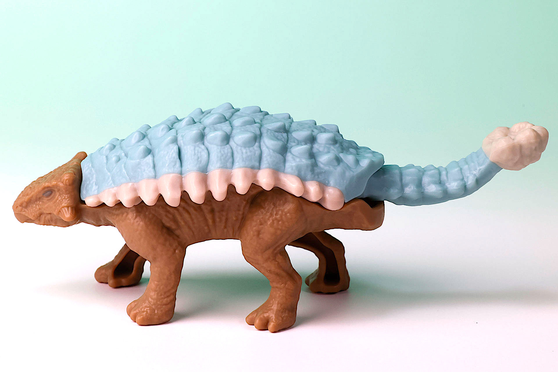 アルマジロのようにも見える！？