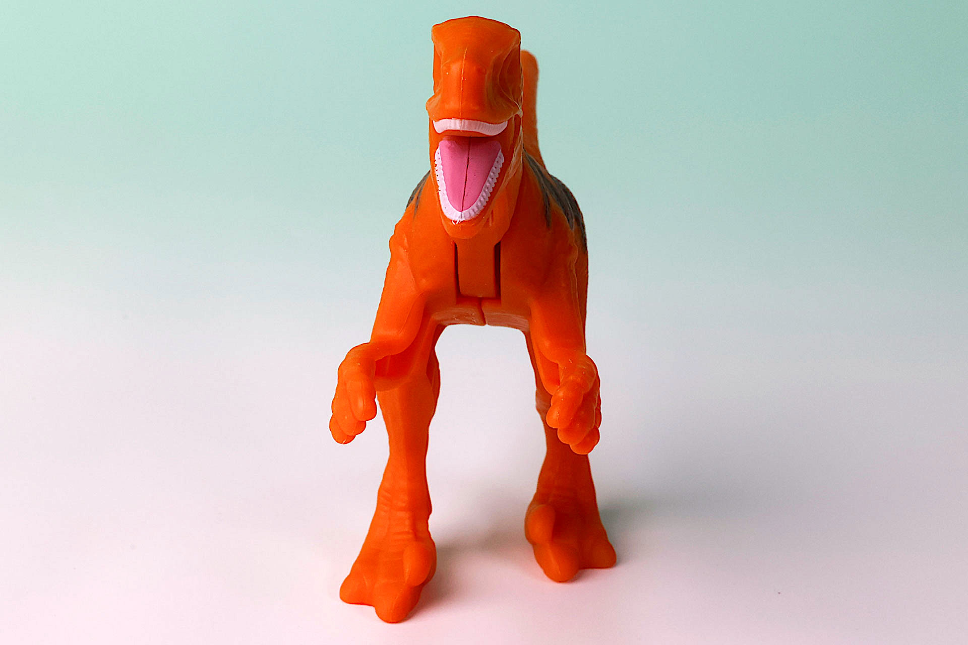 正面から見たアトロキラプトル