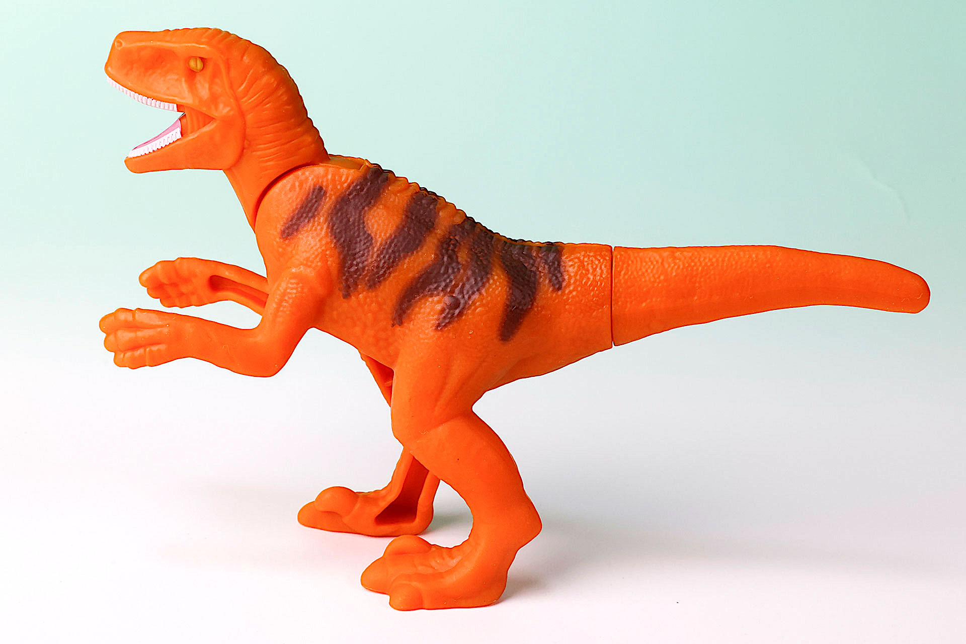 背中側には模様が入っている