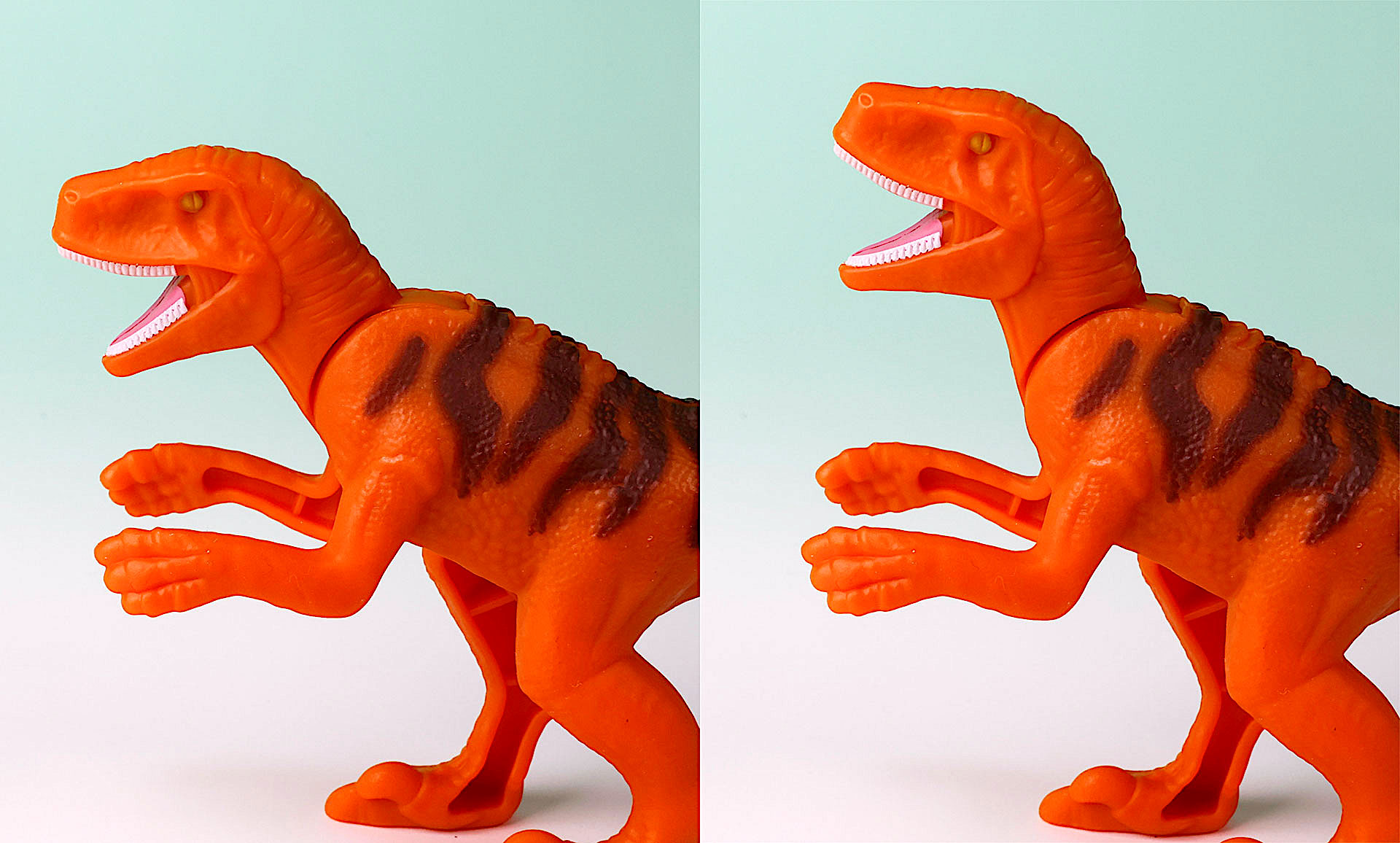 頭部は上下に動かすことができる