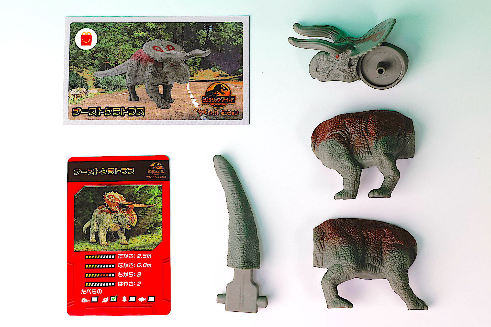 こちらが「ナーストケラトプス」のおもちゃ箱の中身だ