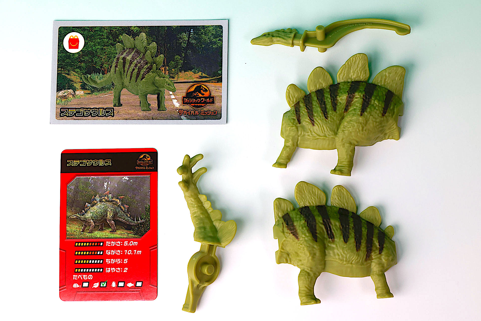 こちらが「ステゴサウルス」のおもちゃ箱の中身だ