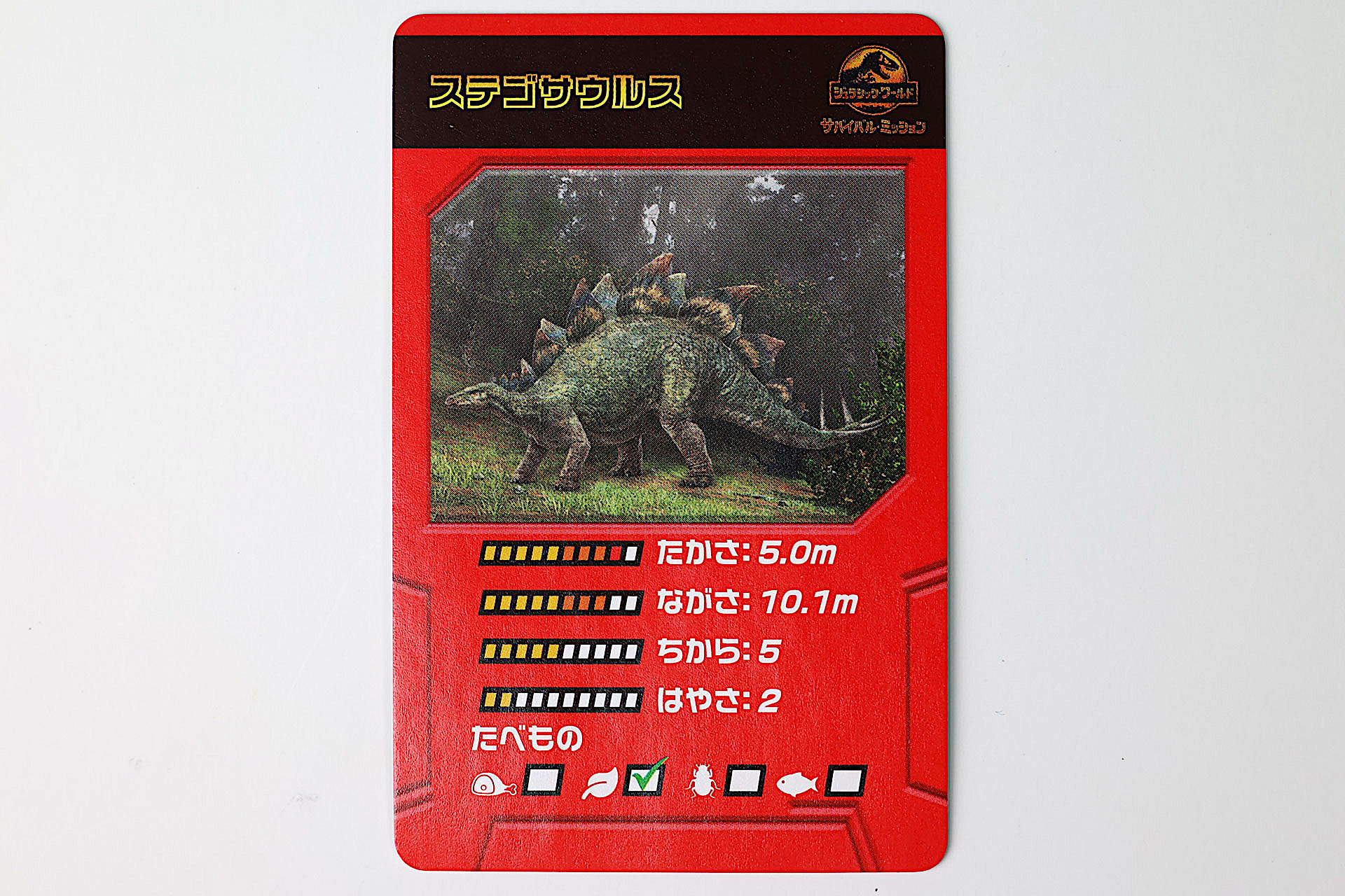 どれぐらいの大きさなのかもわかる