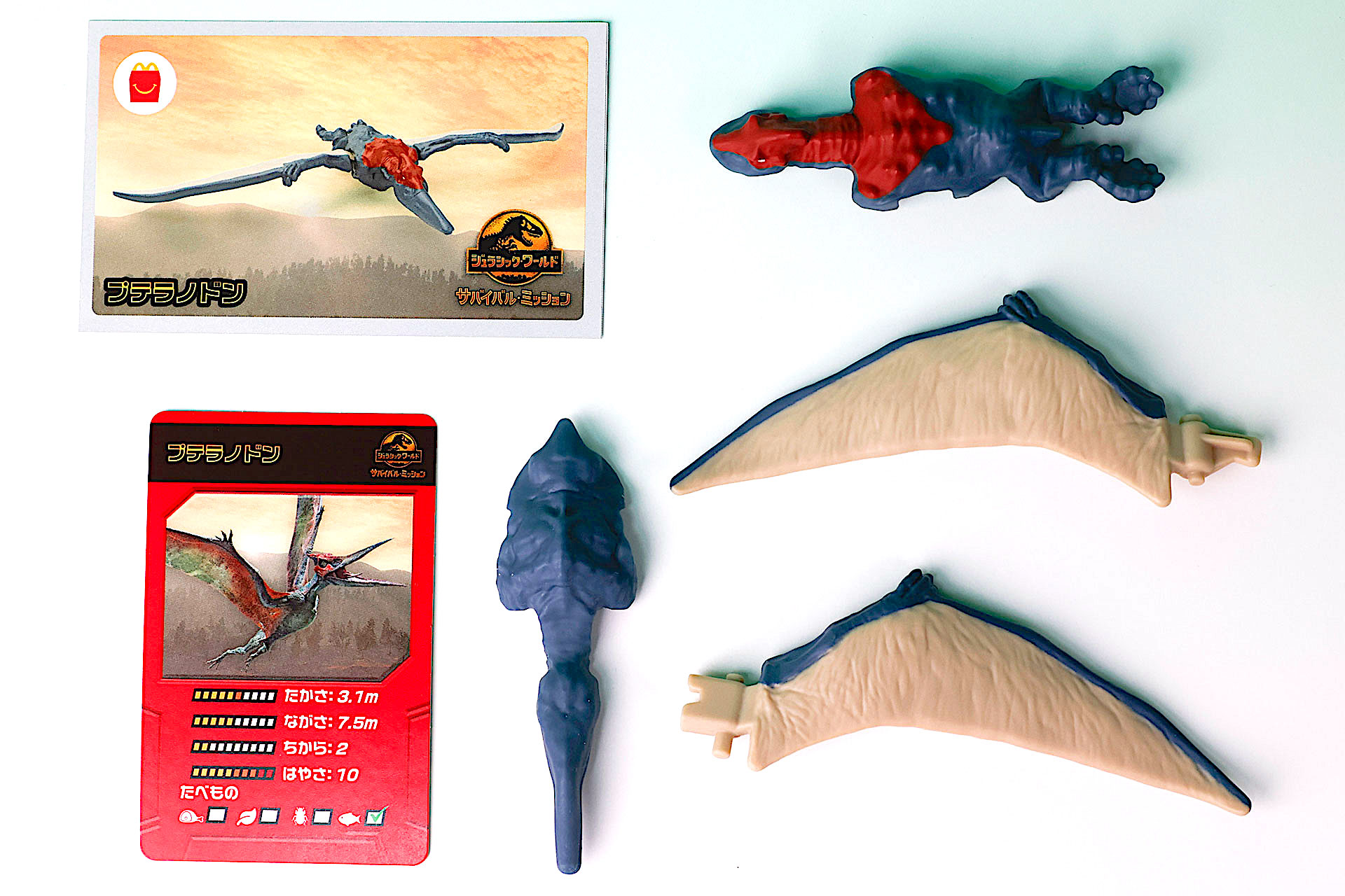 こちらが「プテラノドン」のおもちゃ箱の中身だ
