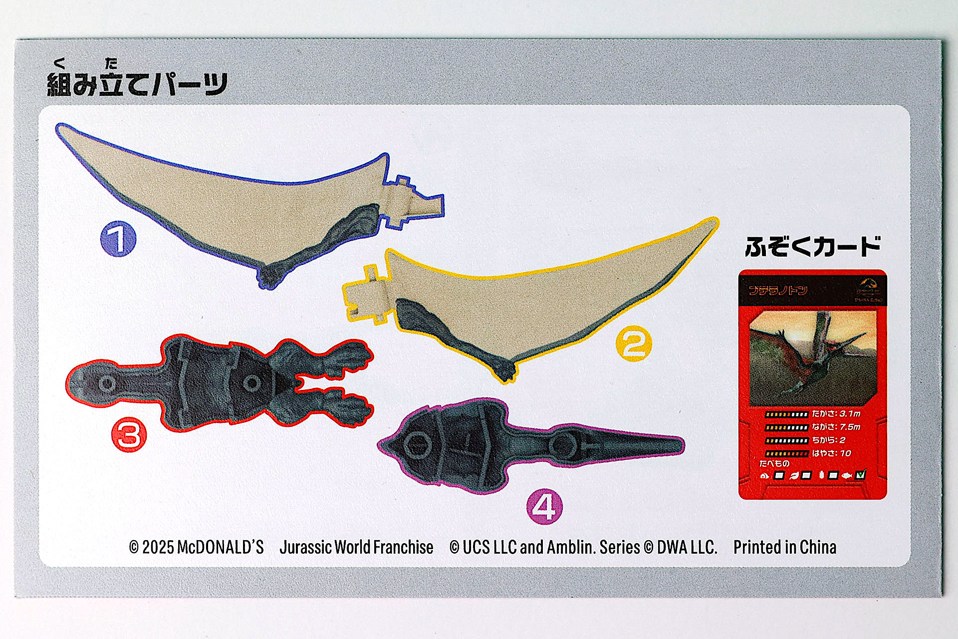 「プテラノドン」の説明書の裏面