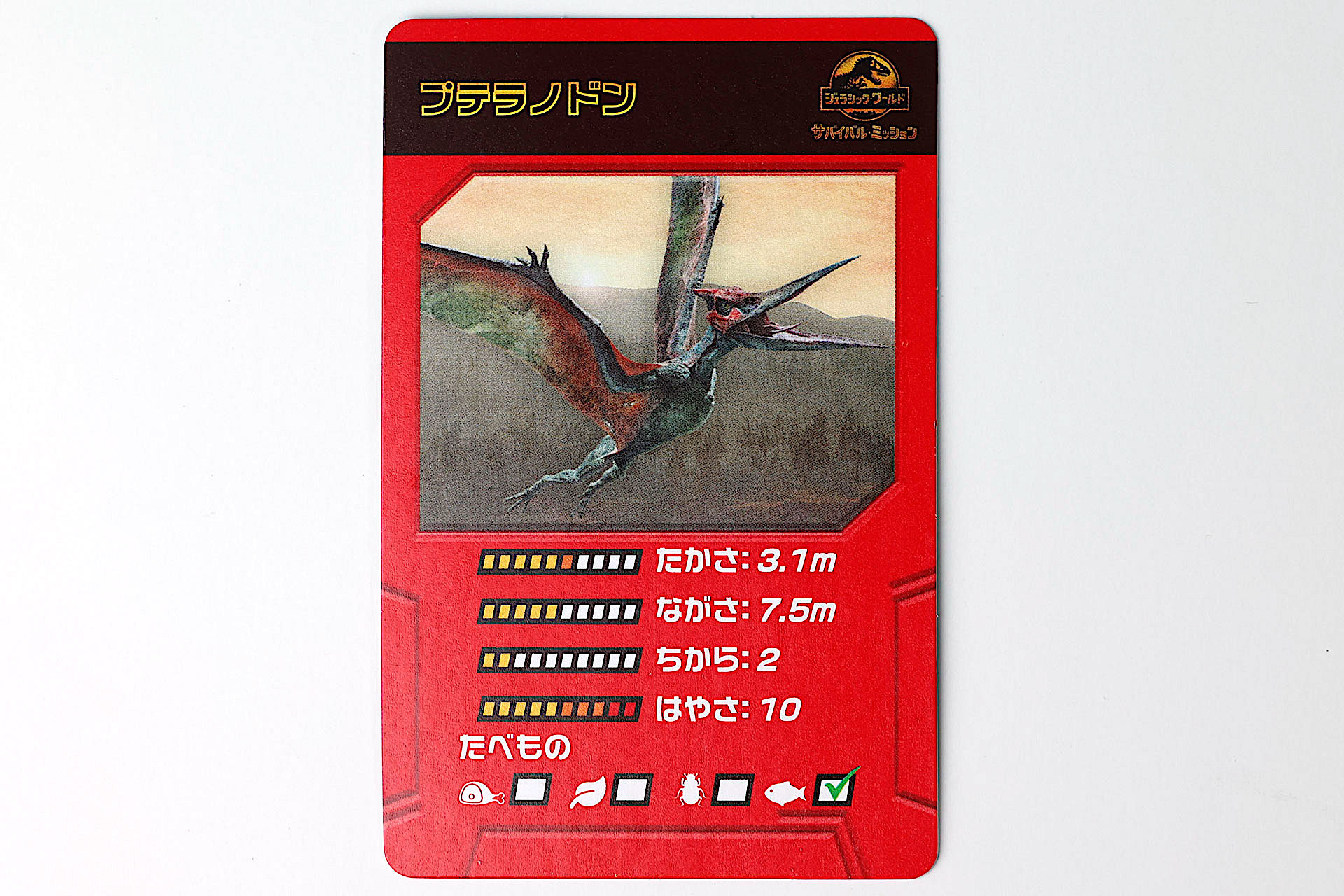 解説カードによると、主に魚類を食べていたようだ