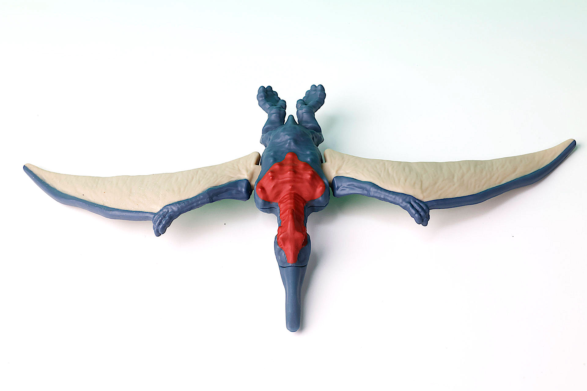 こちらが上から見たところだ