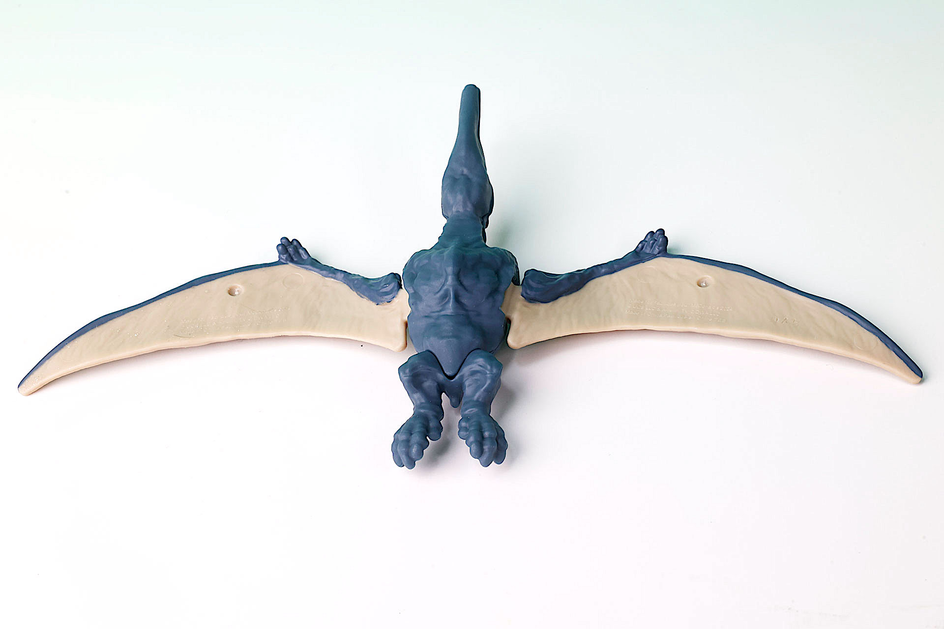 底面側はこんな姿になっている