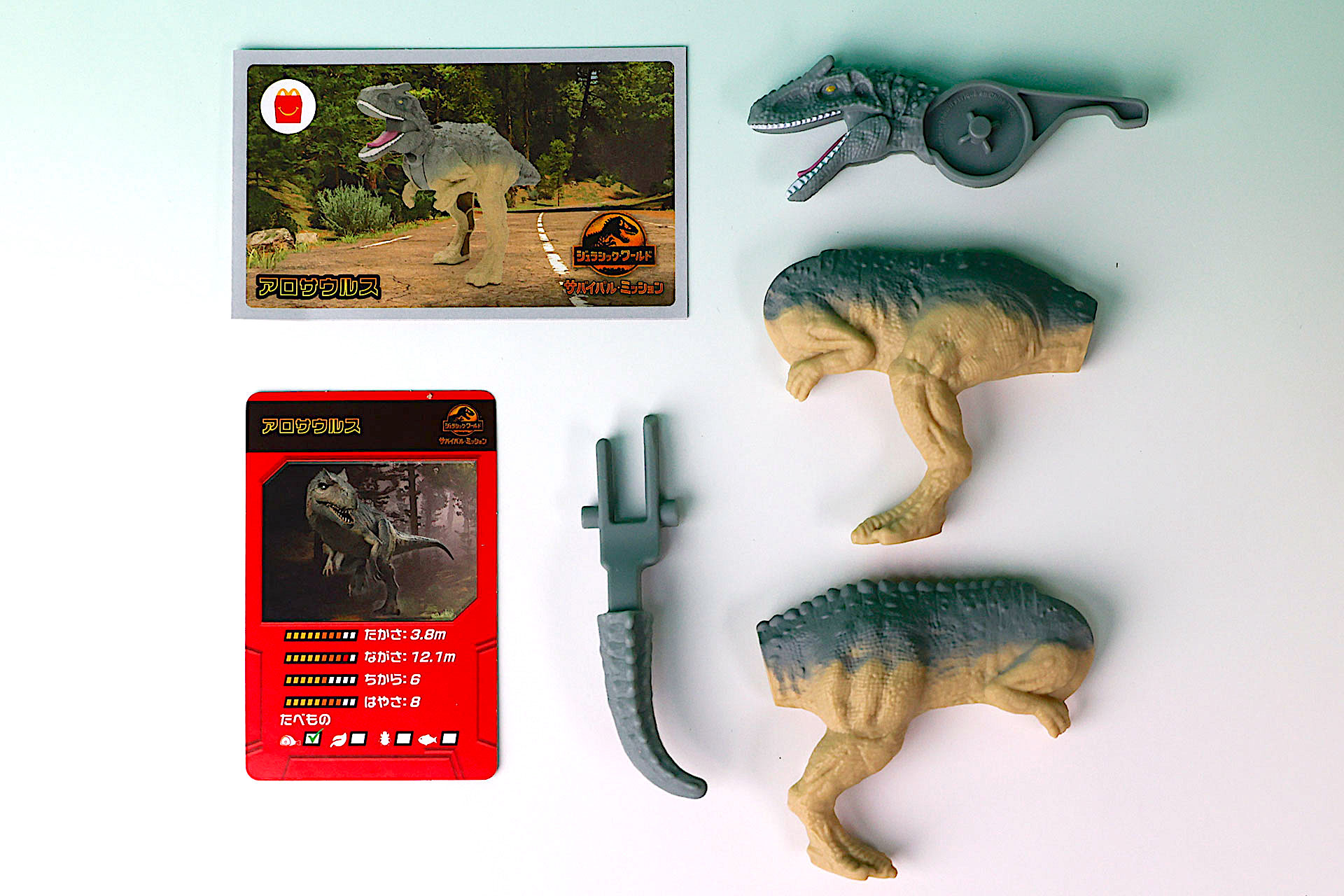 こちらが「アロサウルス」のおもちゃ箱の中身だ