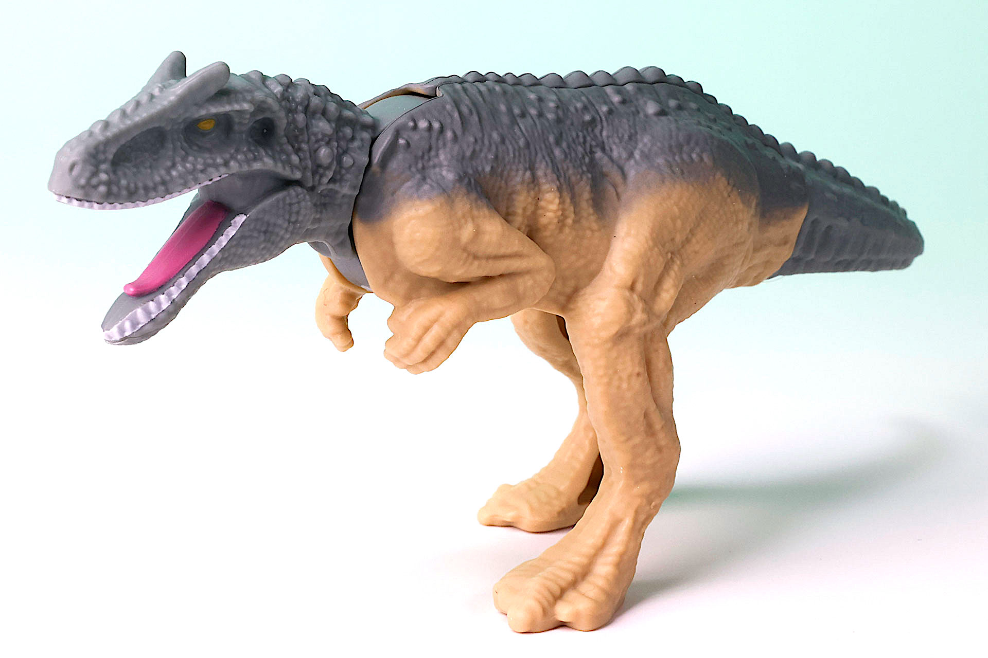 凶暴そうな見た目だ