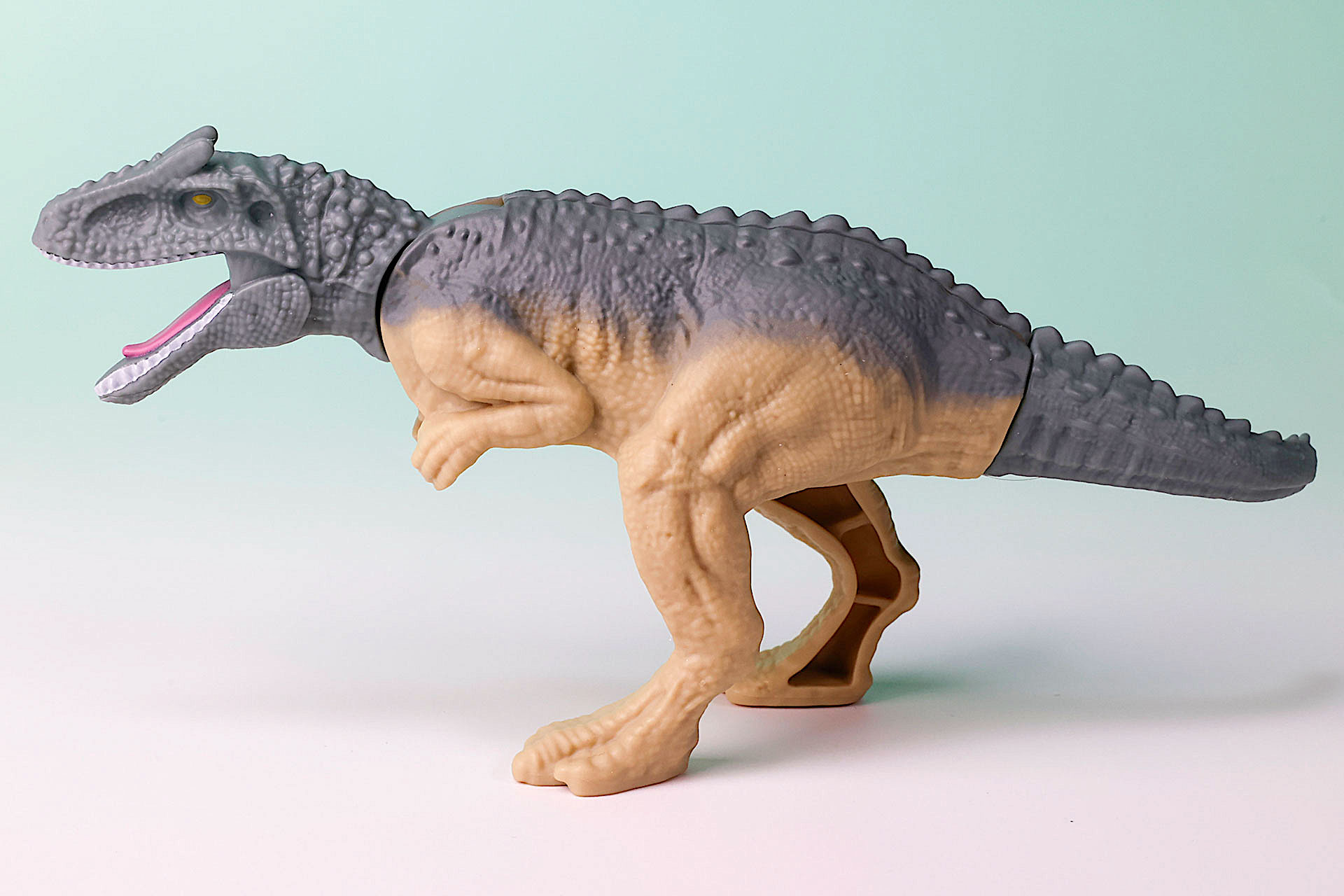 体はツートンカラーになっている