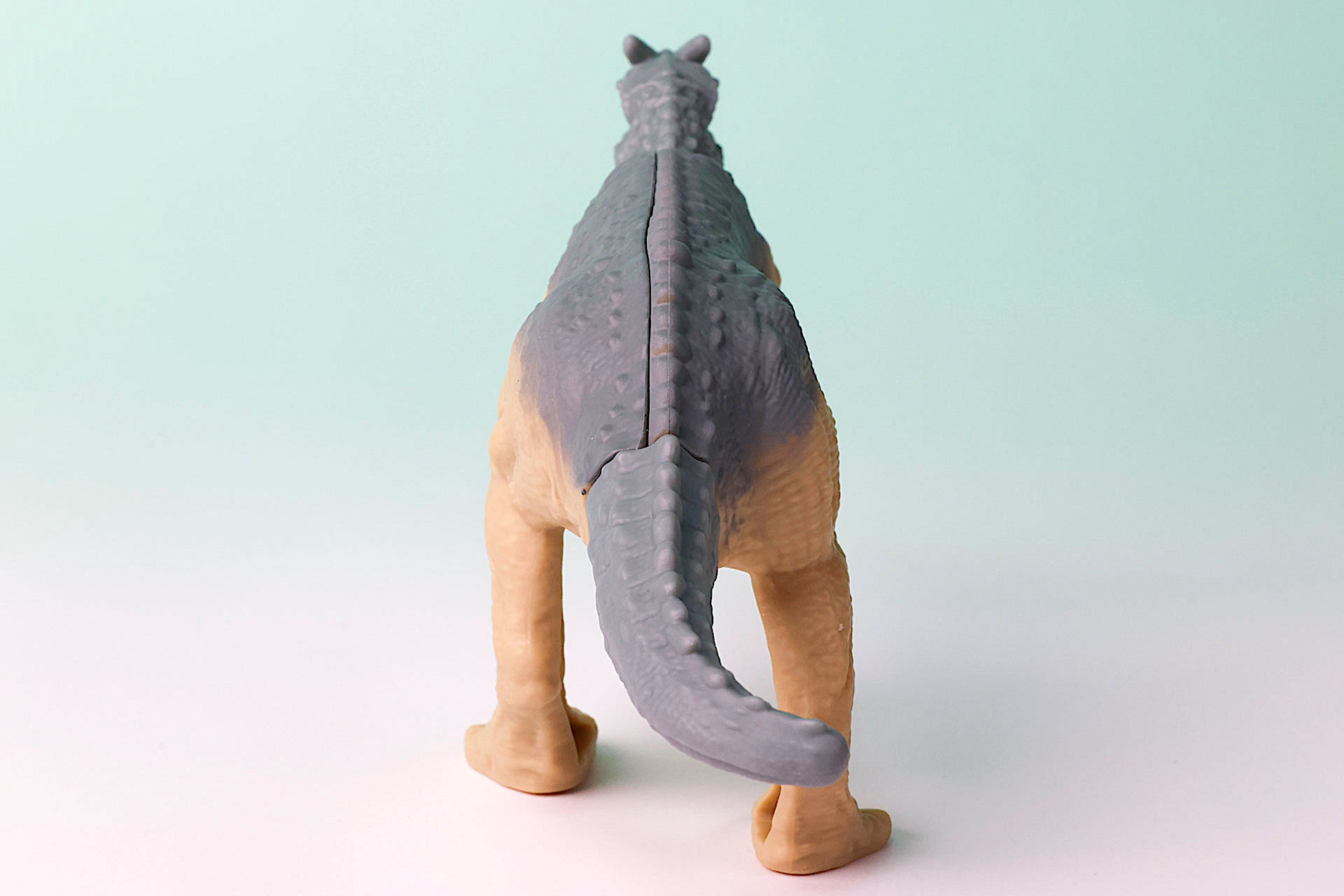 尻尾がやや曲がっている