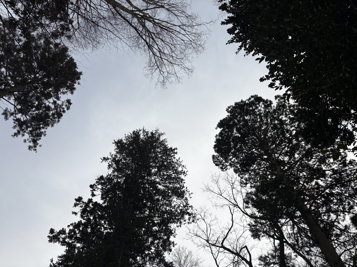 ヒット後、その場で横たわった際の視点。フィールドで仰向けで寝転がるのも新鮮で面白い