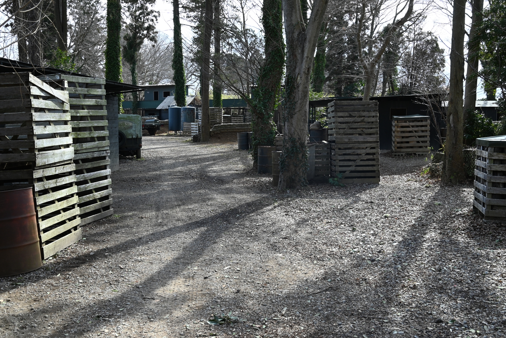 フィールドの様子