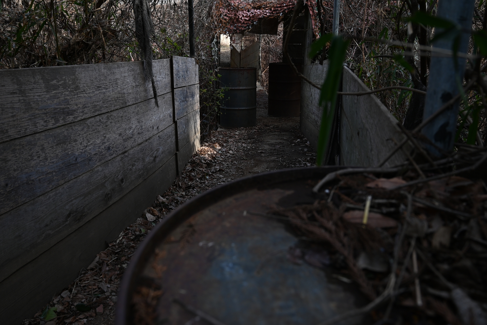 フィールドの様子