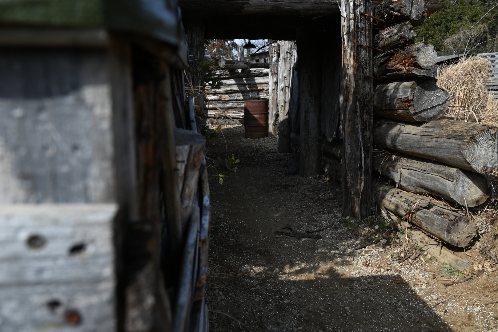 フィールドの様子