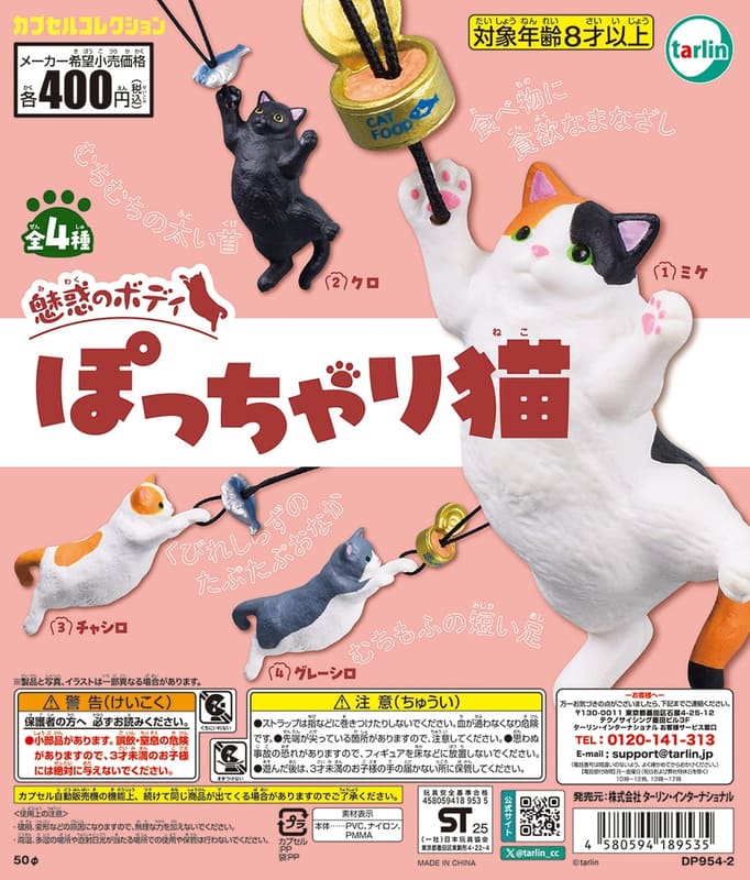 魅惑のボディ ぽっちゃり猫
