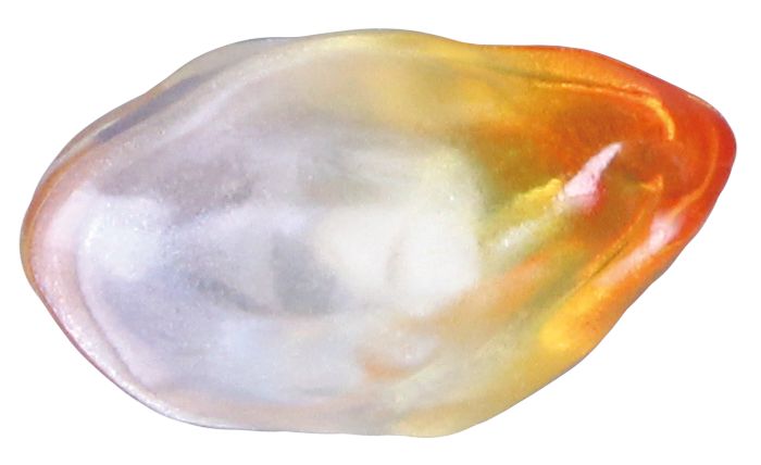 ファイアパーツ