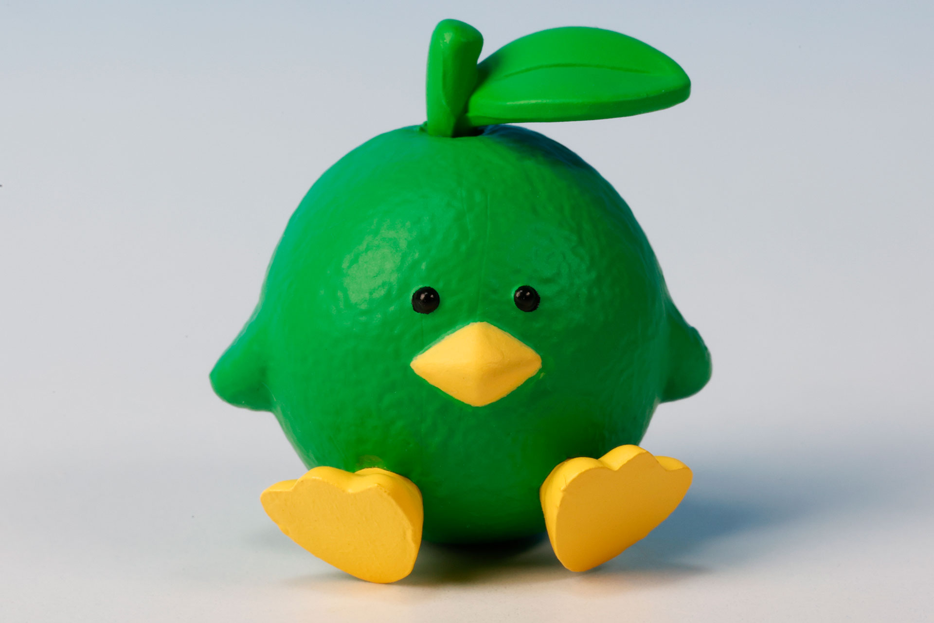 小粒なサイズ感のシークヮーサー