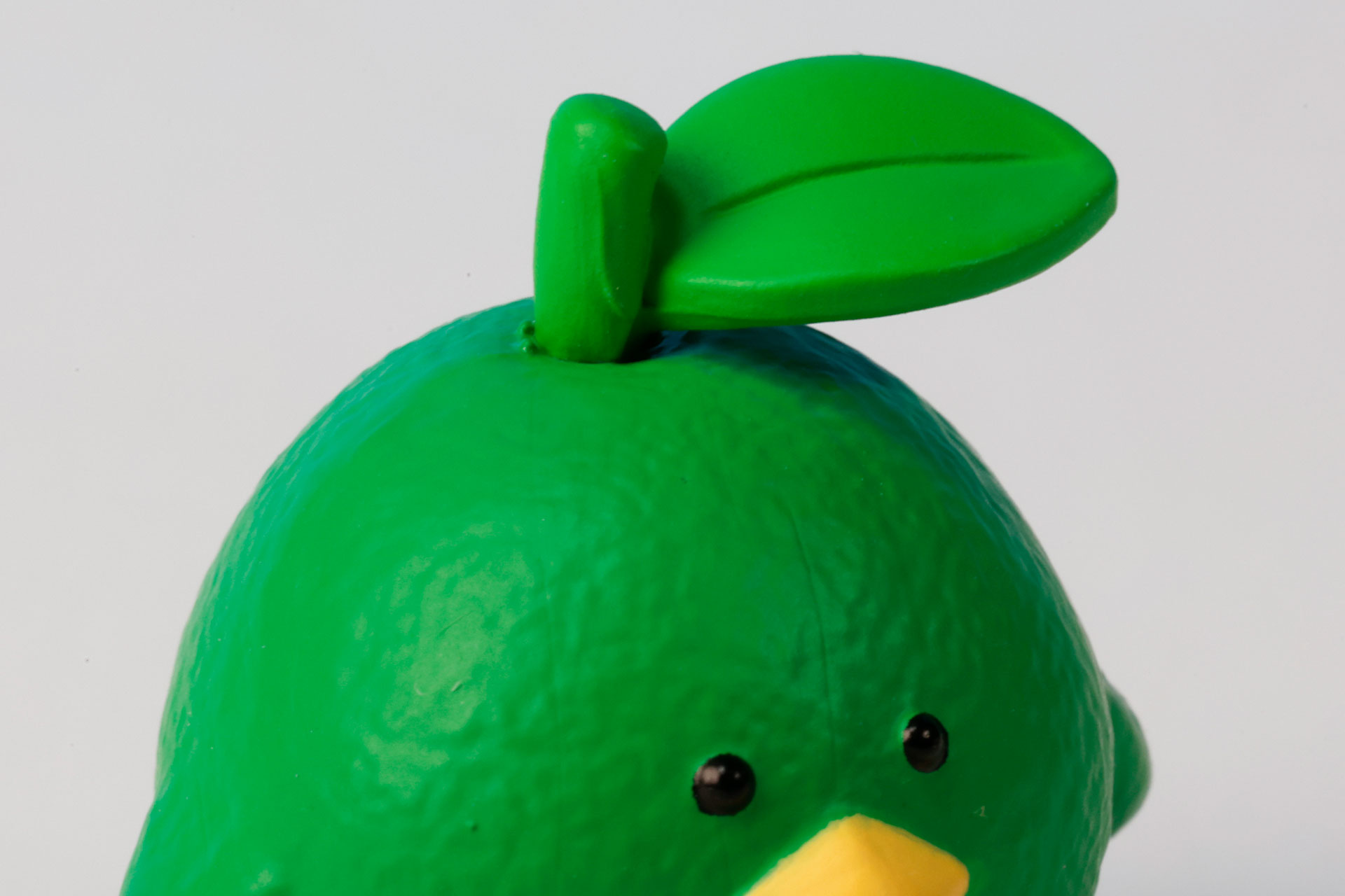 頭の上の葉っぱがチャームポイントだ