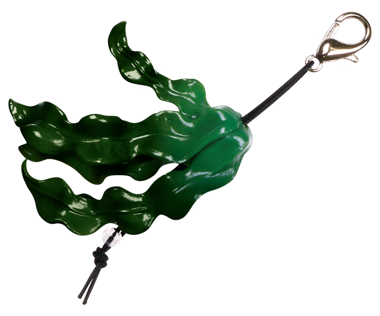 「徳島県産ワカメ」