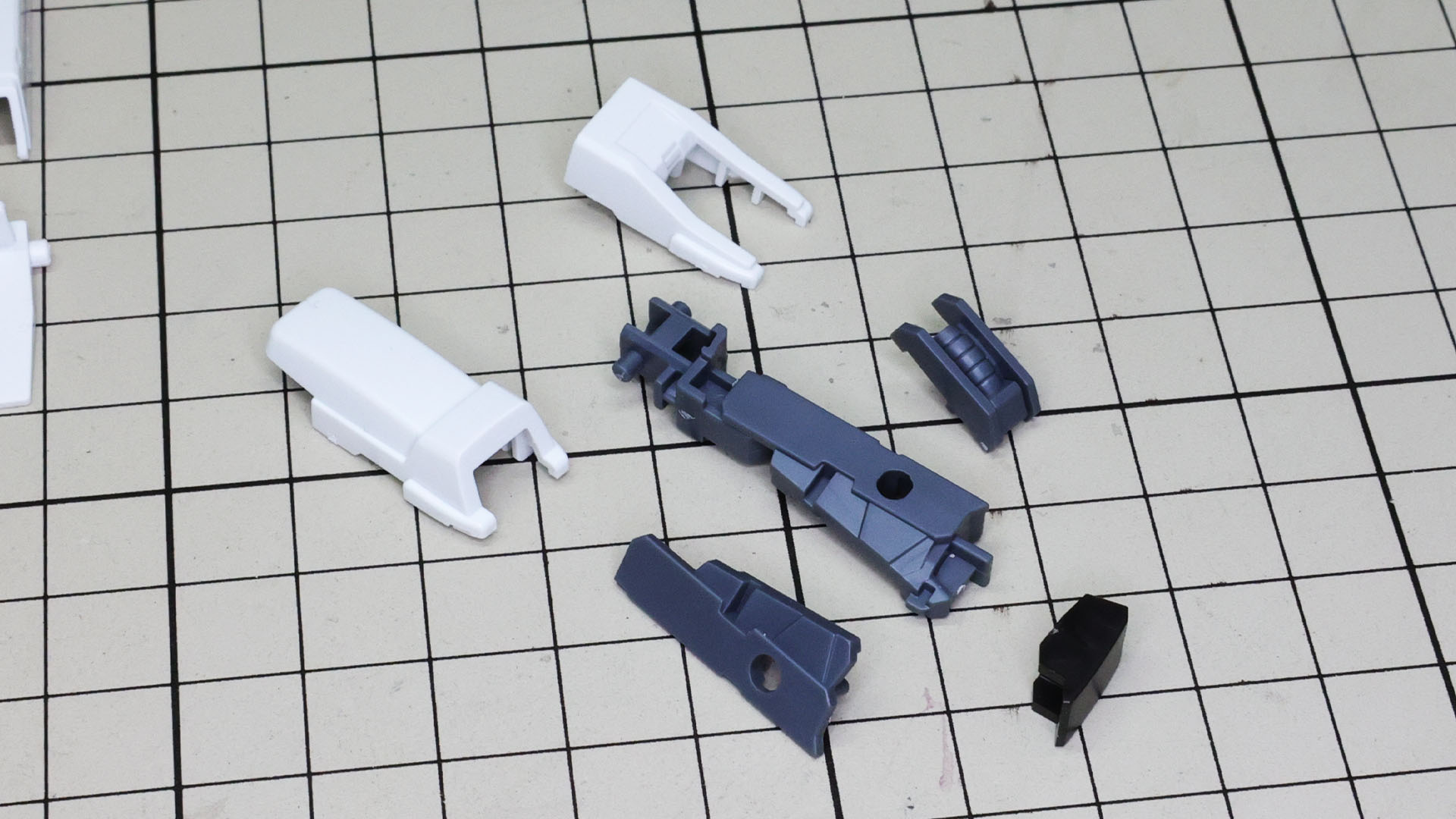 変形の要になる膝関節は上下に長い独特な形状をしています