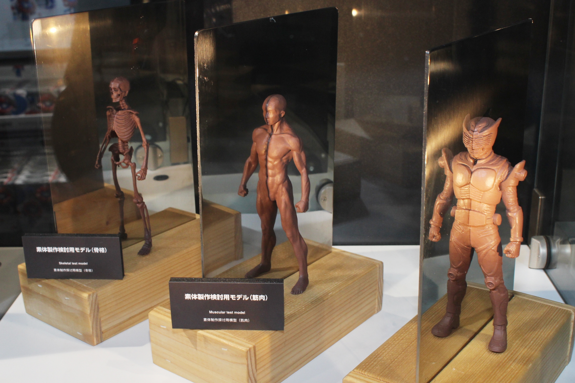 骨格と素体製作検討用のモデルも展示されていた