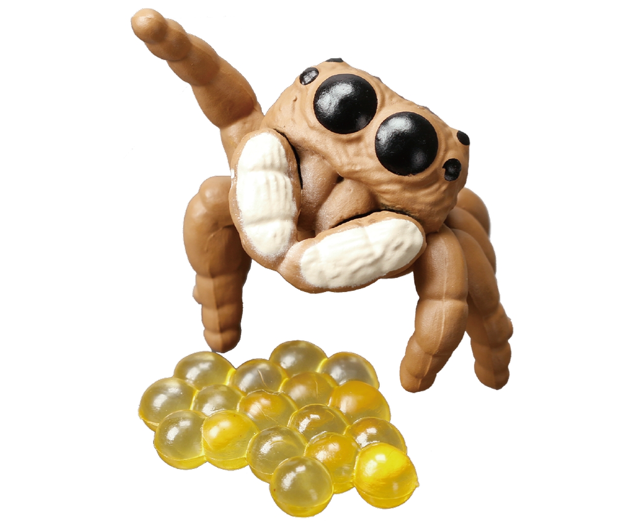 「首傾げ（卵つき）」