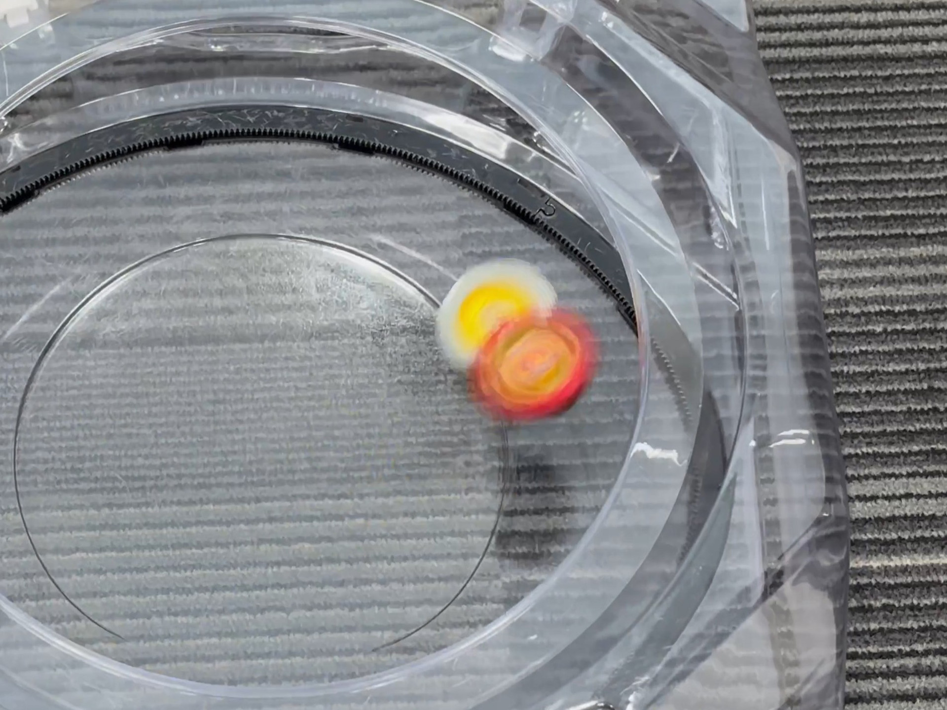 オーソドックスな組み合わせから、普段あまり使わないブレードまで、色々なカスタムでバトルを行なった。画像はフェニックスウィングとウィザードロッドの一戦より。宙を舞い、ド派手な攻防が展開するが、最後はウィザードロッドが耐えてスピンフィニッシュ