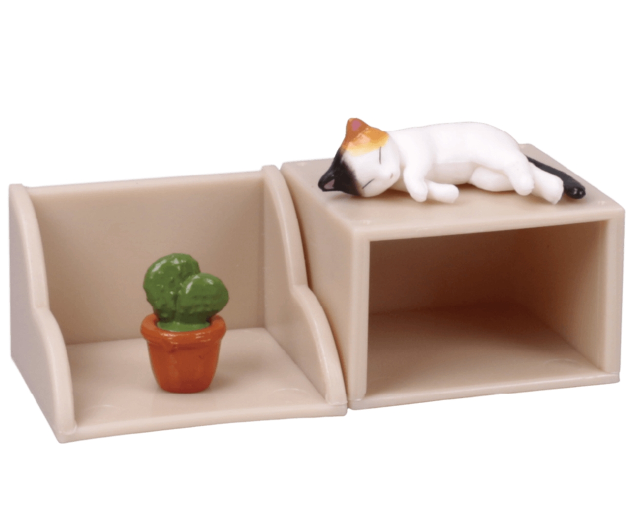 棚A・Bと三毛猫とサボテン