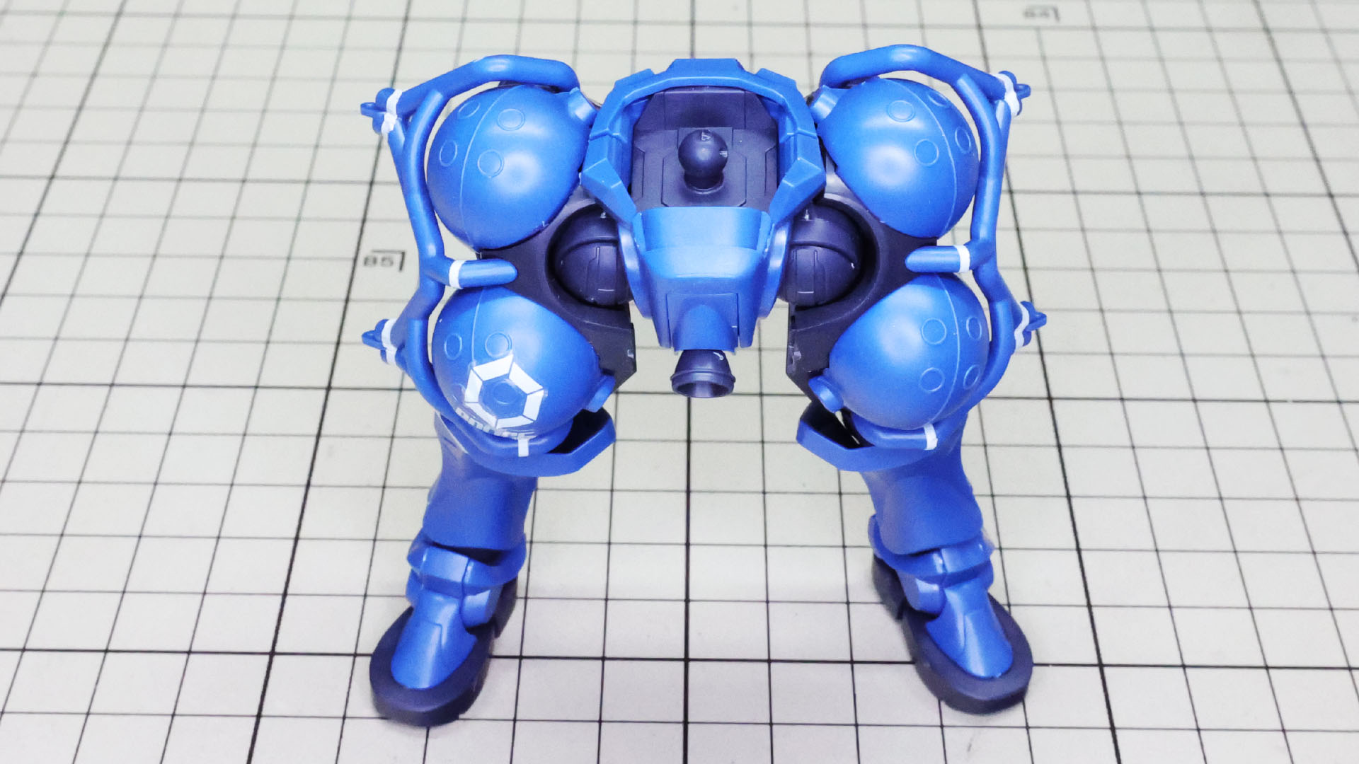 大腿部のボリュームがひときわ大きい！