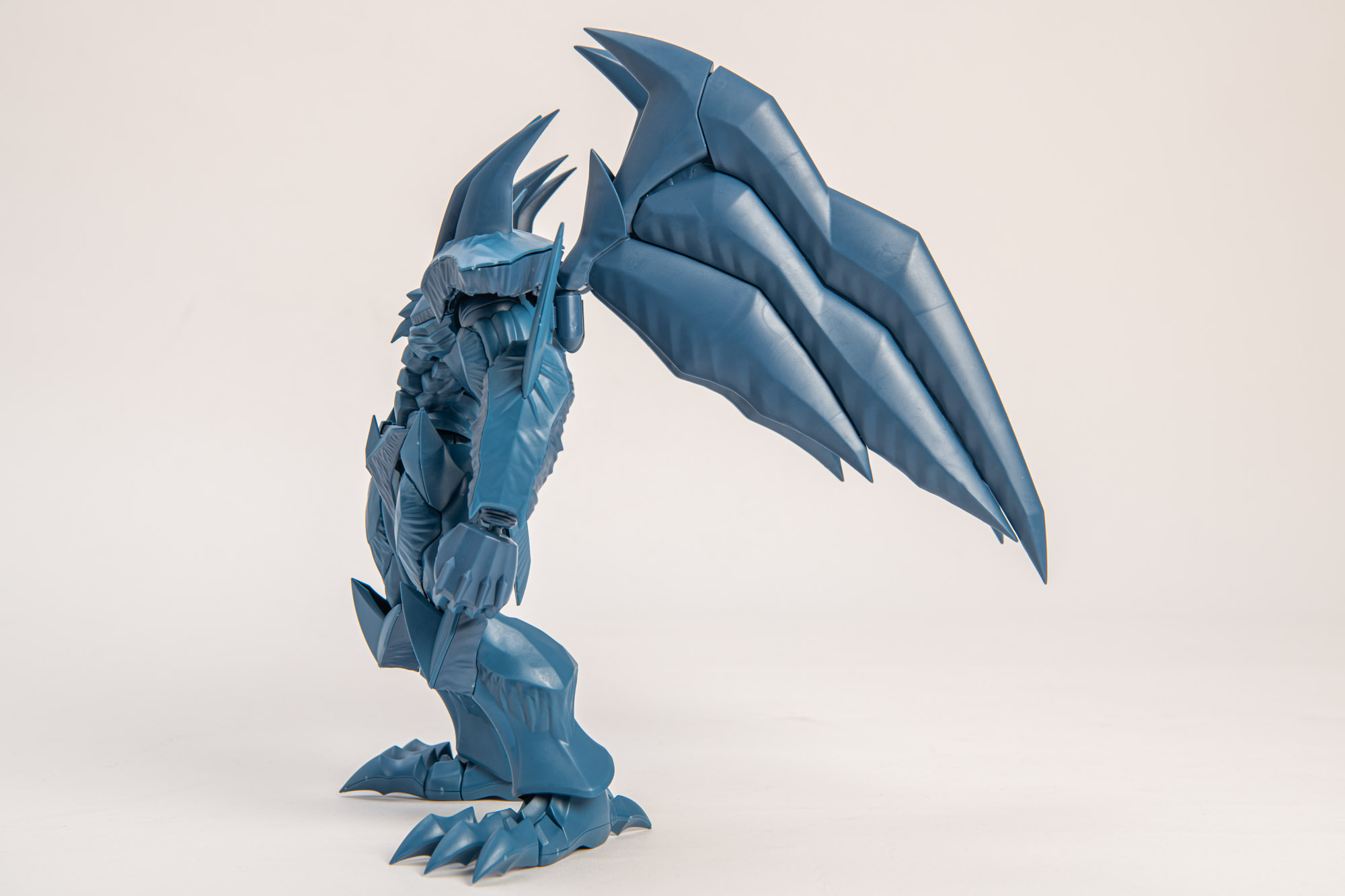 翼をあげてバランスを悪くしてもしっかりと2本の脚で立つことができる。