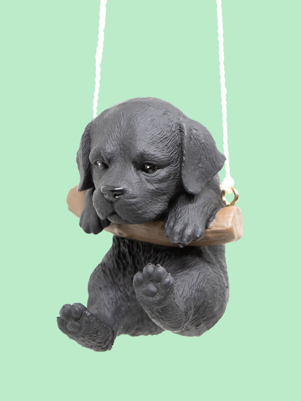 ラブラドール（黒）