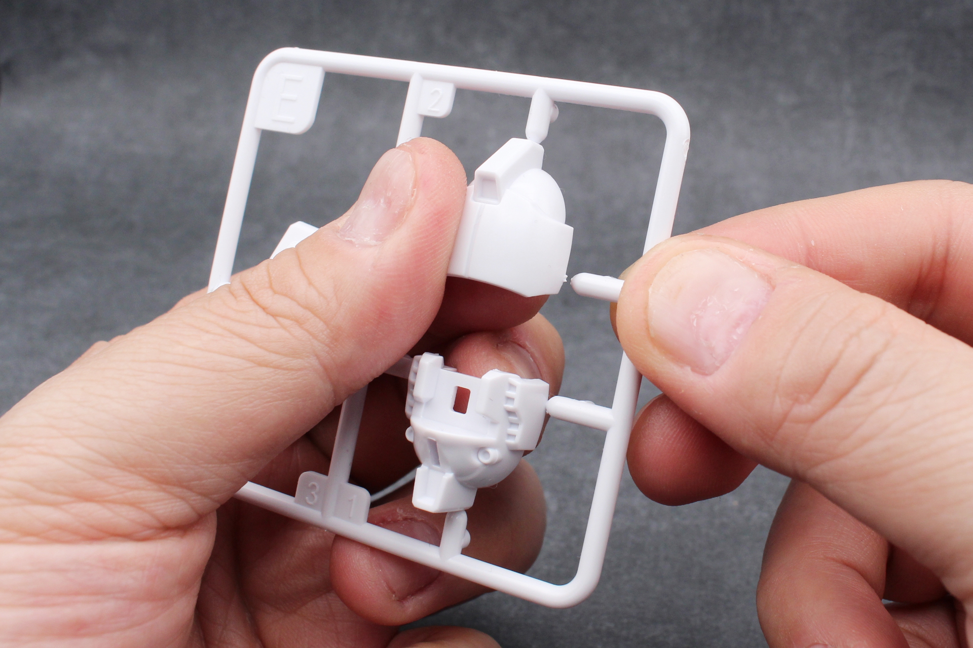 パーツは手で取れるが、綺麗に仕上げるなら薄刃のニッパーを用意したい。本稿の作例もニッパーを使っている