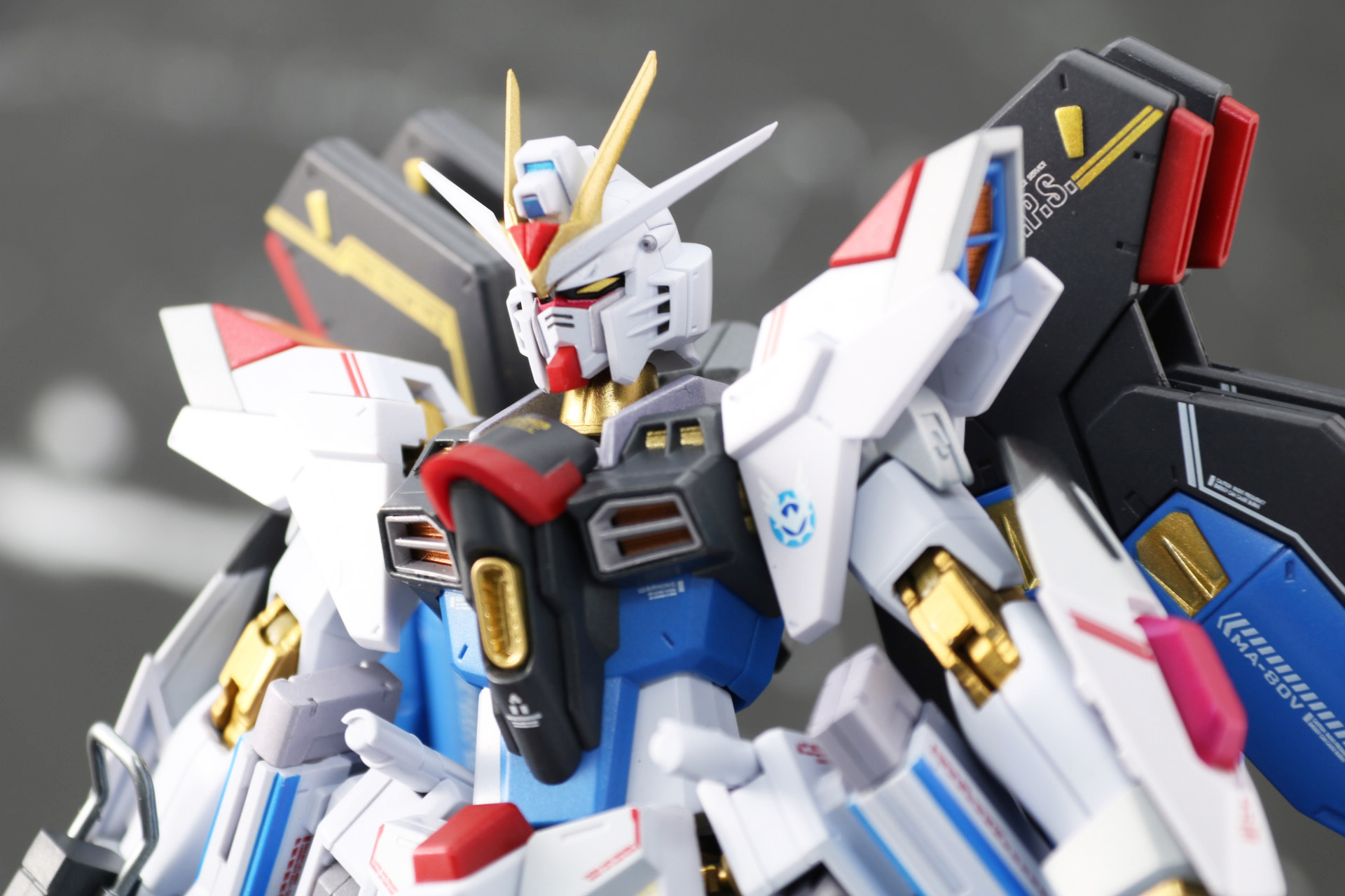 バストアップもメリハリのあるボディラインと色彩で圧倒的存在感を放つ