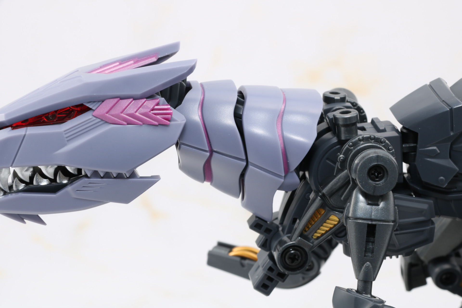 首周りのアーマー装着