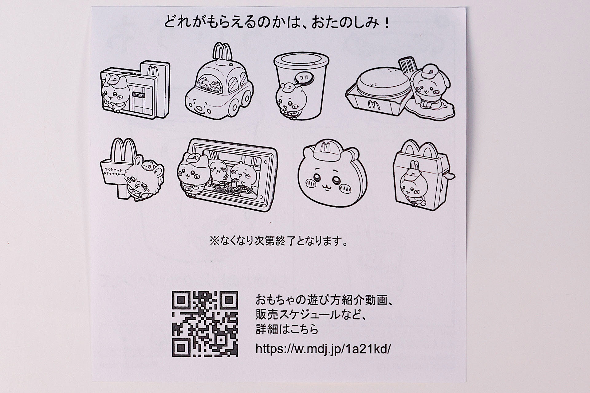 説明書の裏面はすべてのおもちゃに共通したものだ