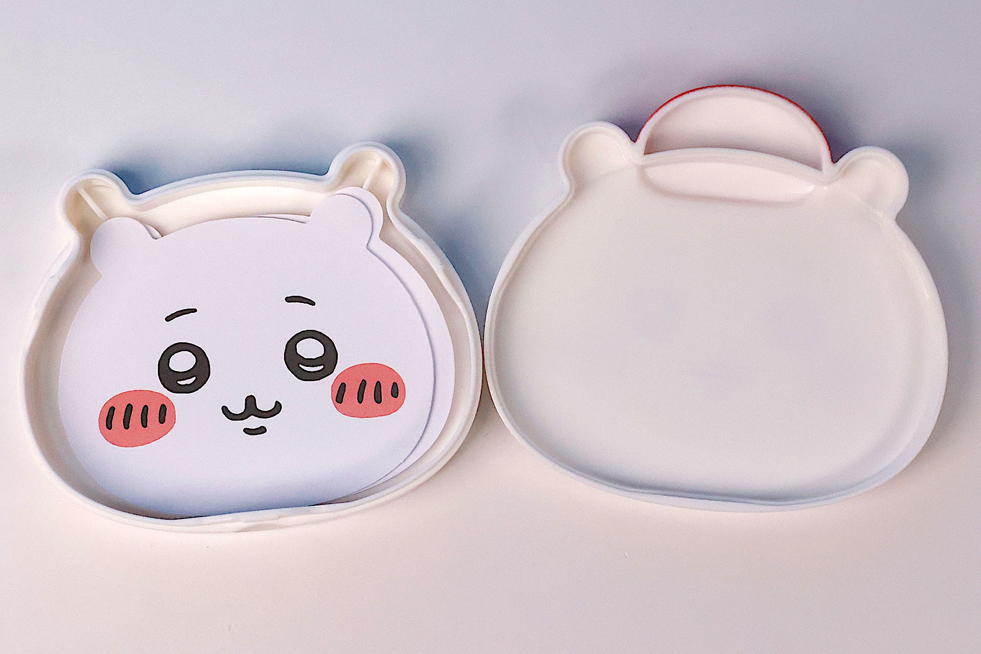 ケースを開けたところ