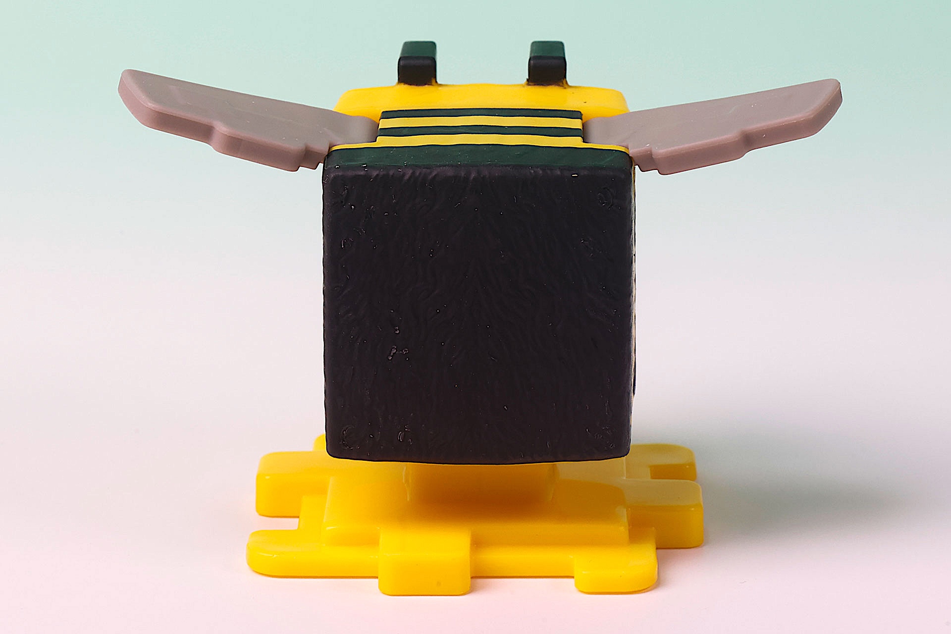 お尻側から見たところ