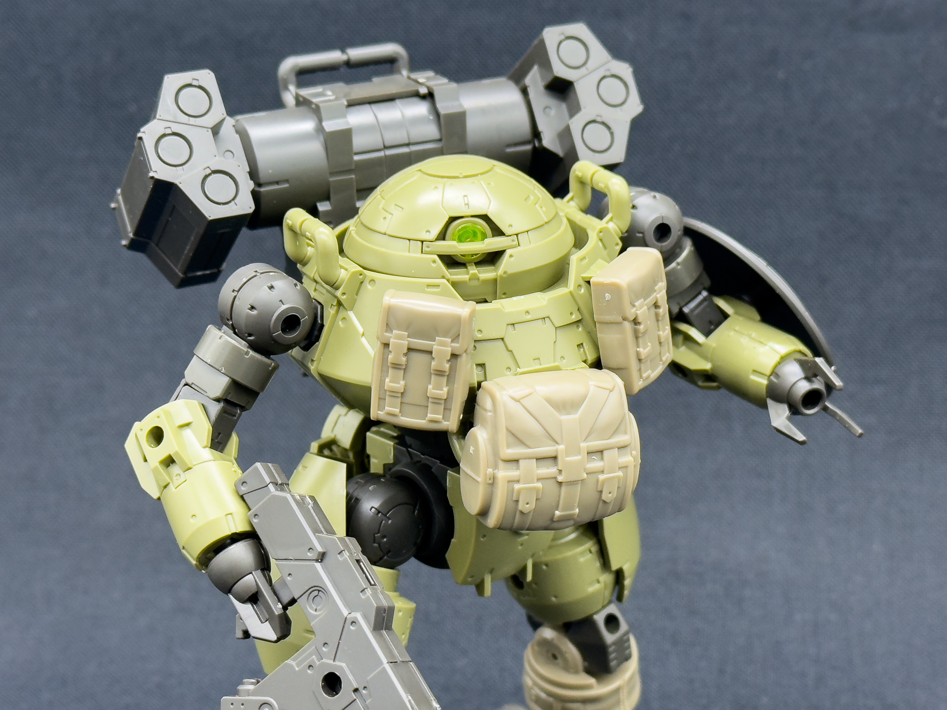 これまでにない大型でドーム状の頭部が印象的です。